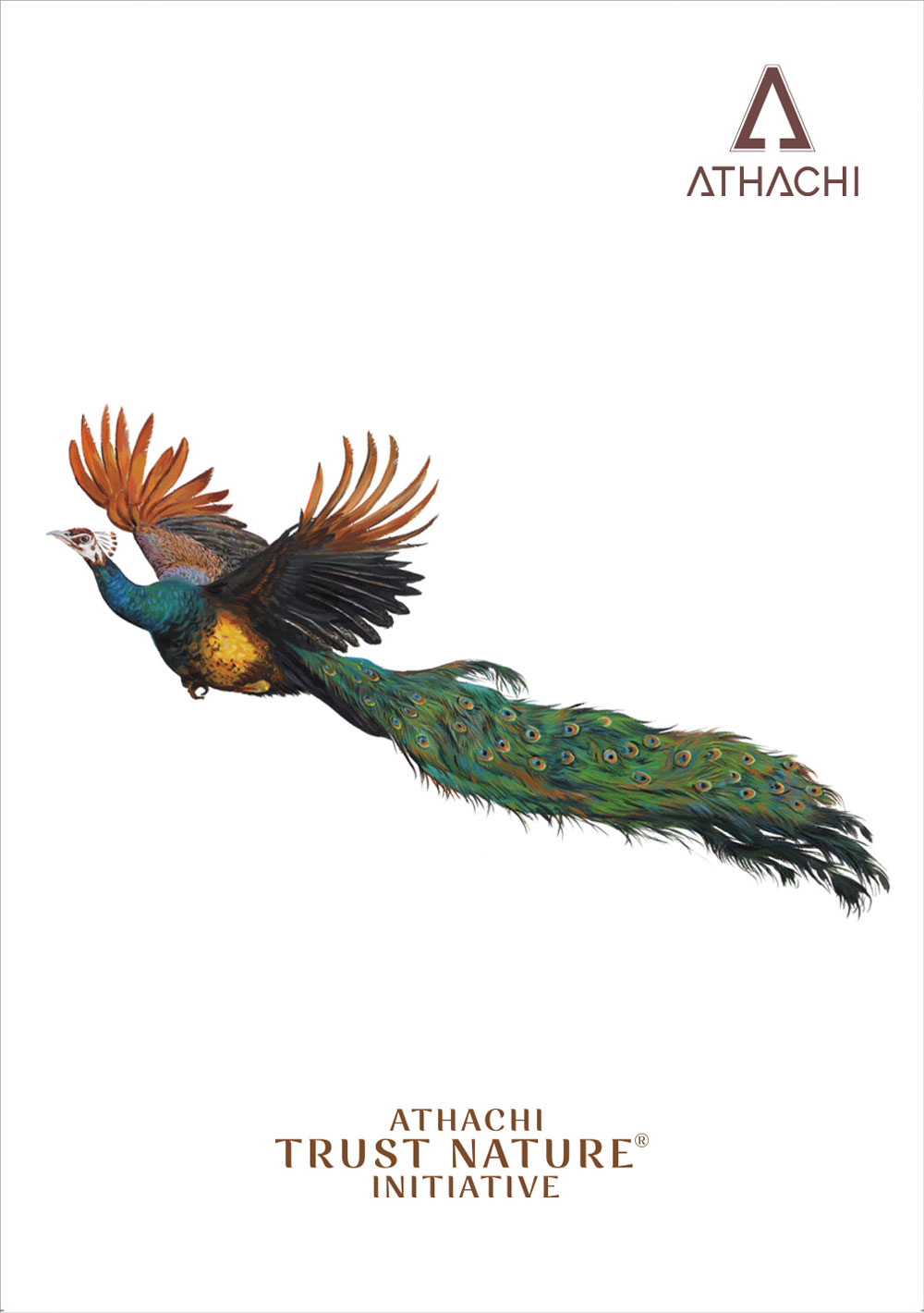 Athachi Trust Nature Brochure