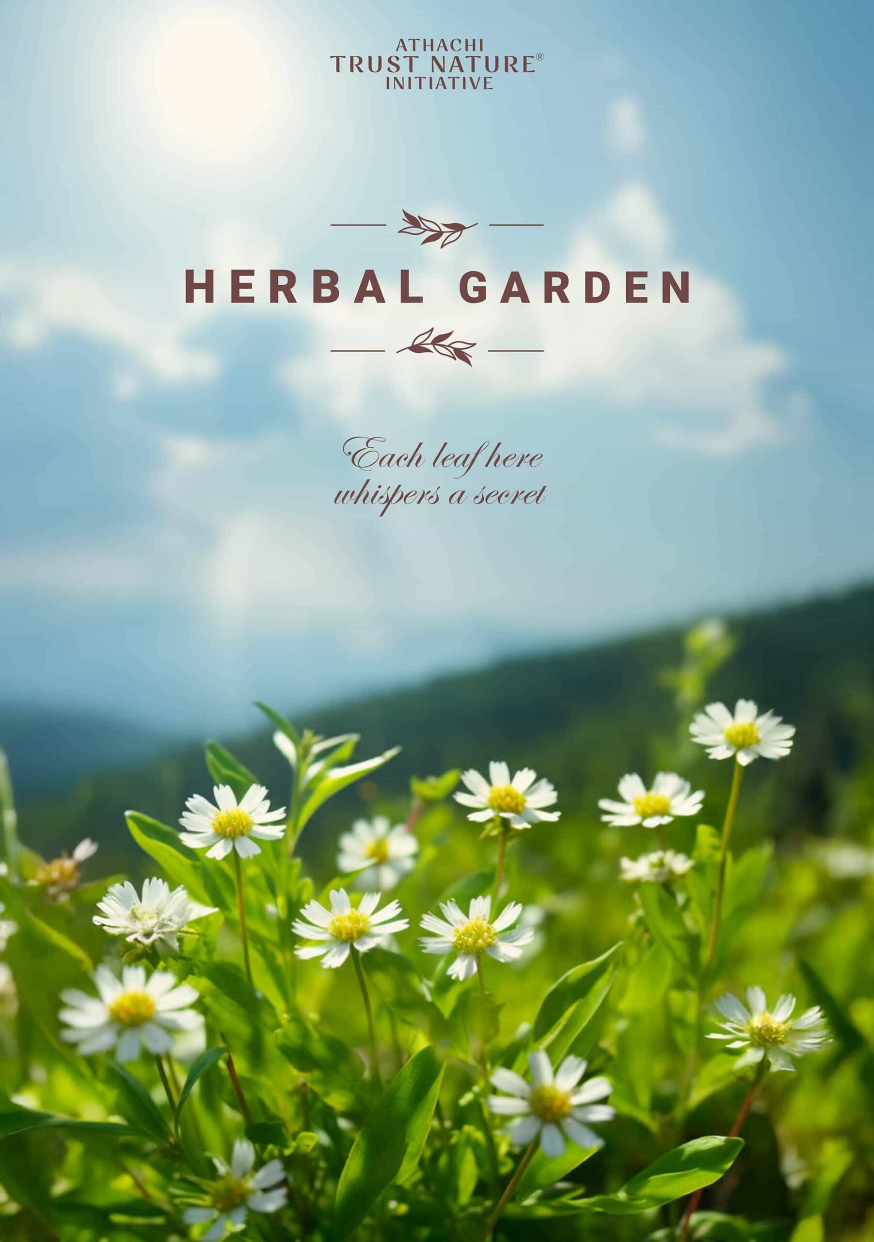 Herbal Garden