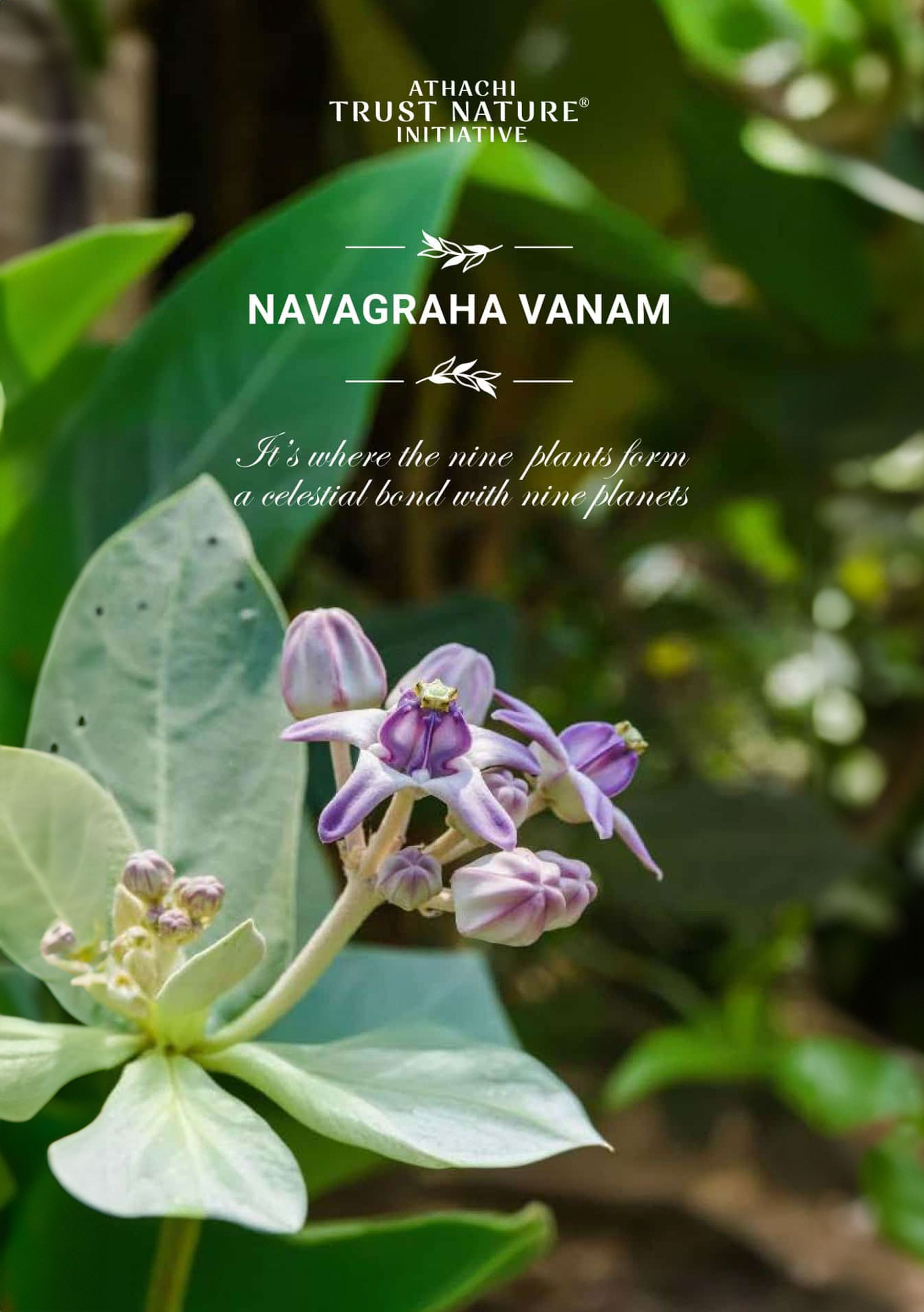 Navagraha Vanam